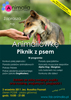 Animalówka - Piknik z psem