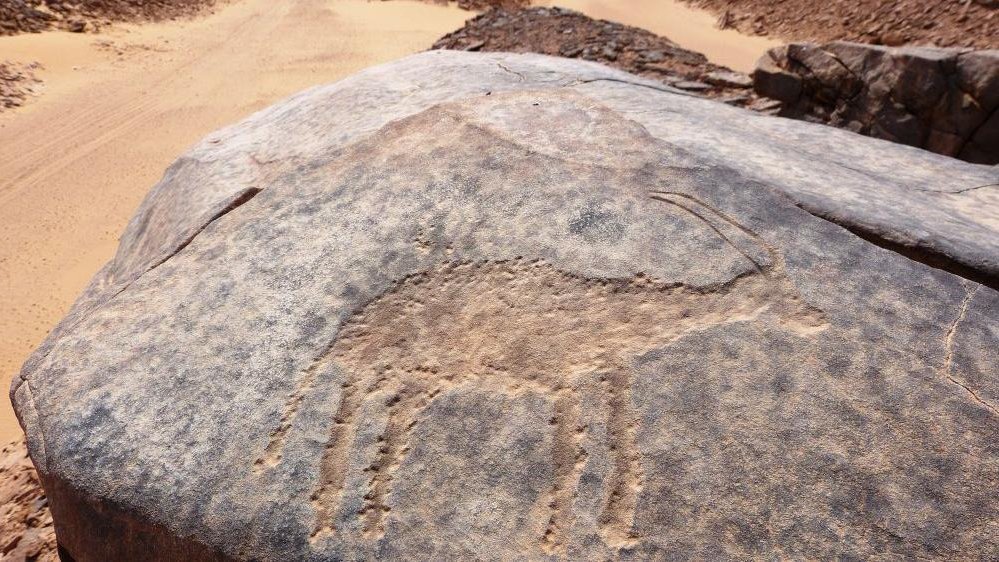 The Petroglyph Unit in the Dakhleh Oasis, photograph by Paweł Polkowski