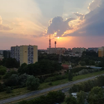 fot.M.Klonowska