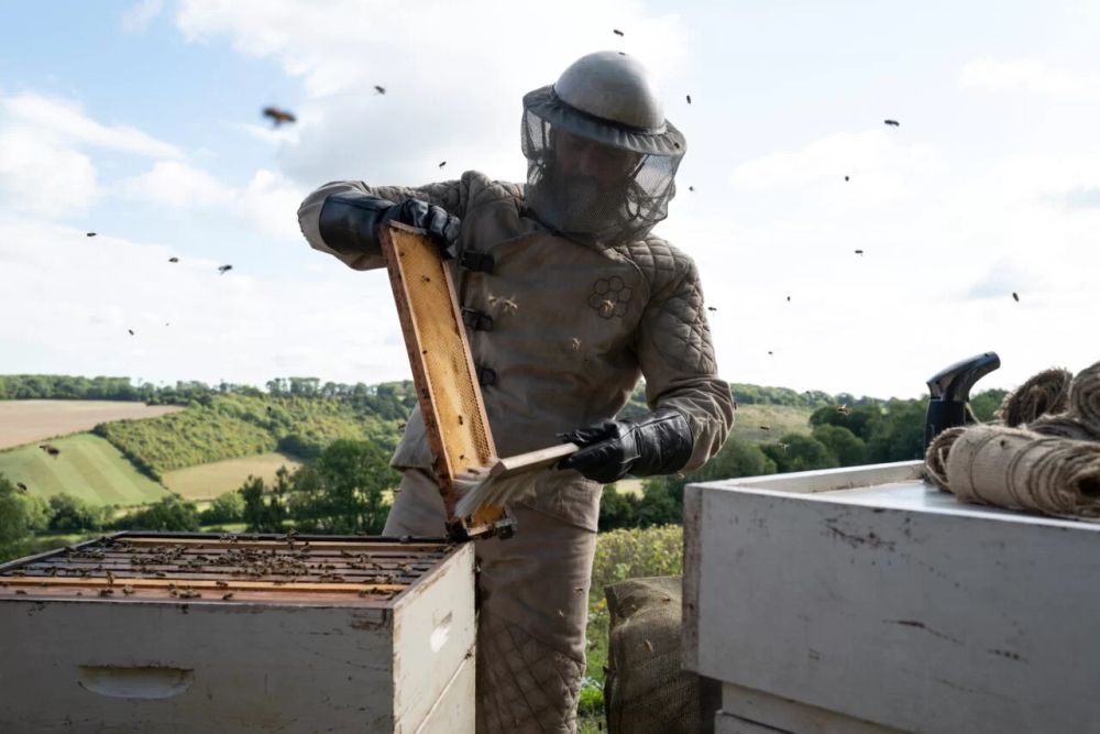Bohater w stroju i kapeluszu pszczelarza sprawdza ule, wokół niego latają pszczoły, za nim widać zielony, słoneczny krajobraz. - grafika artykułu