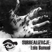 Surrealizm w Kolektywie