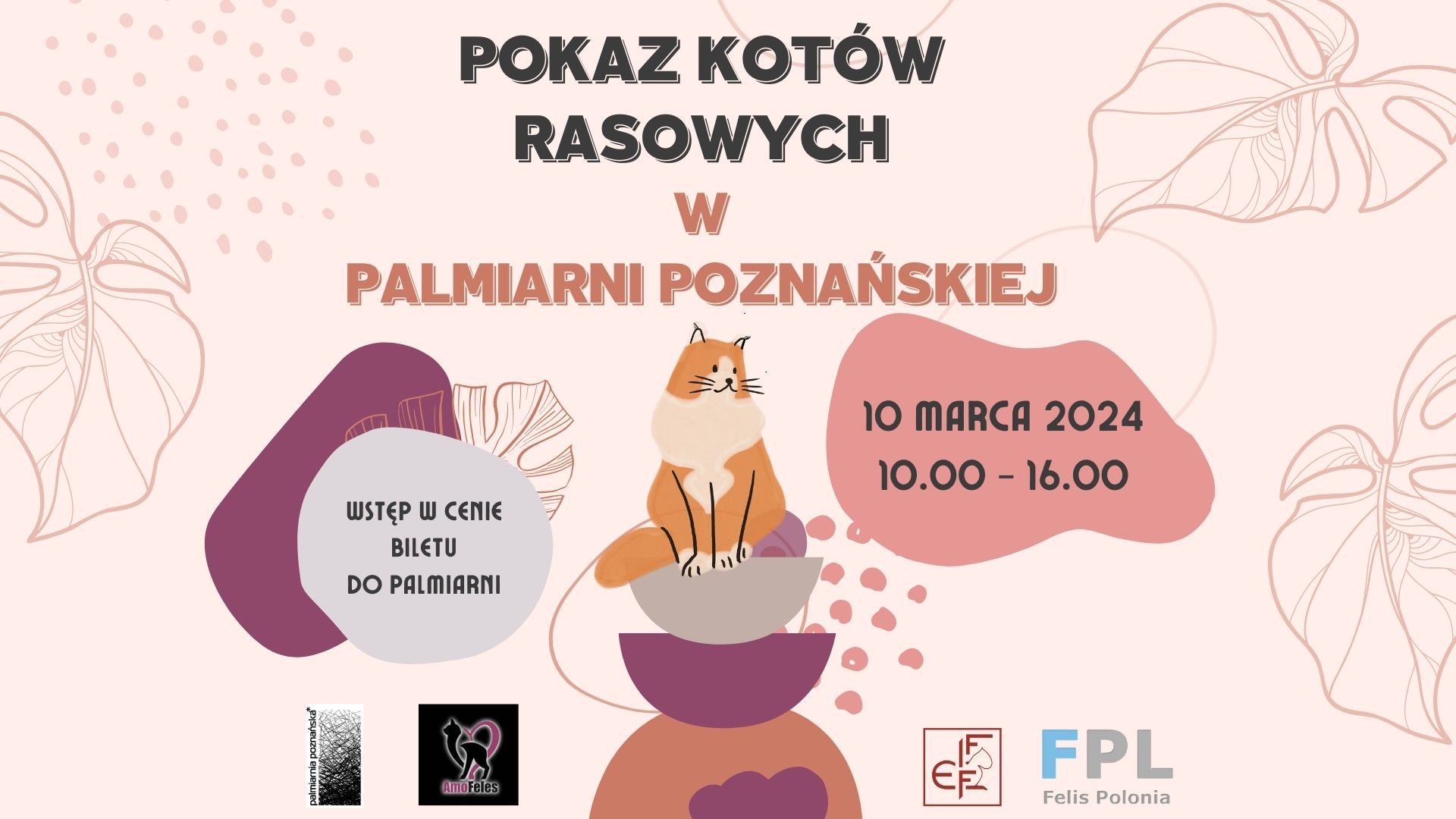 Plakat promocyjny pokazu kotów rasowych w Palmiarni Poznńskiej. Na grafice znajduje się kot, który siedzi na poduszkach. - grafika artykułu