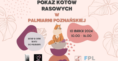 Plakat promocyjny pokazu kotów rasowych w Palmiarni Poznńskiej. Na grafice znajduje się kot, który siedzi na poduszkach.