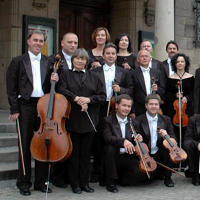 Photo of Amadeus Orchestra's musicians with their instruments.