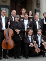 Photo of Amadeus Orchestra's musicians with their instruments.
