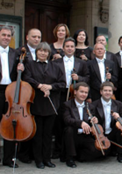 Photo of Amadeus Orchestra's musicians with their instruments.