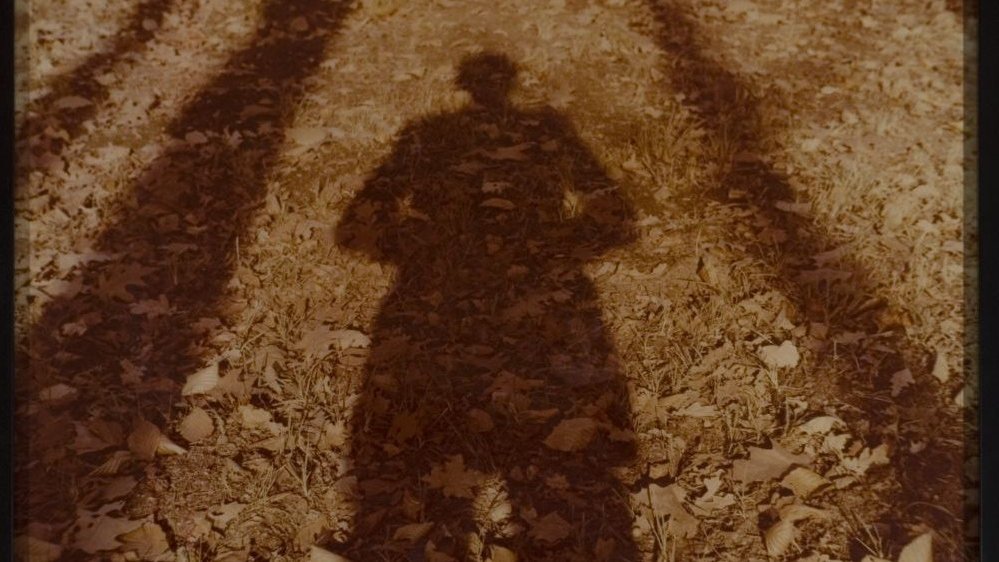 Photo in sepia colours: a shadow of a man on a ground covered with fallen leaves