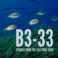 Graphics promoting the concert