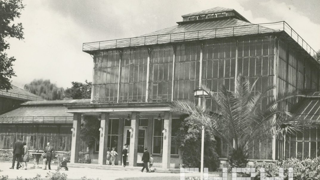 Black and white photo of the Palm House and people walking in front of it. In the foreground some plants and a palm tree. - grafika artykułu