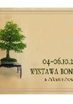 Bonsai Exhibition