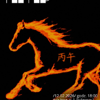 The concert poster