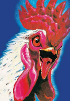 Colourful drawing of a rooster. Dark blue background.