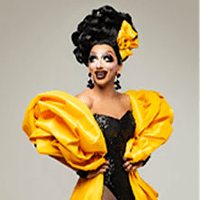 Photo of the artist dressed in yellow and black costume