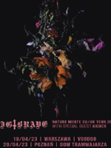 Concert poster with information about the event.