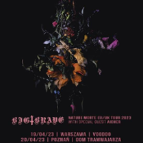 Concert poster with information about the event.