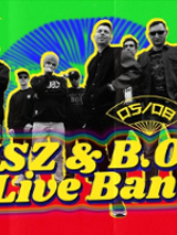 Concert poster with bands' photos.