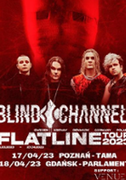 Concert poster - photo of the band and information about the event.