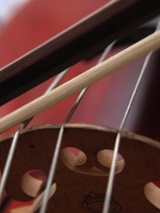 Photo of a string music instrument.