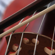Photo of a string music instrument.