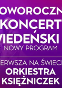 Concert poster in violet and white colours - information about the event.