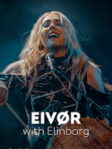 Concert poster - photo of the artist.