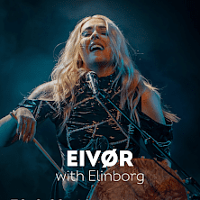 Concert poster - photo of the artist.