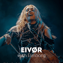 Concert poster - photo of the artist.