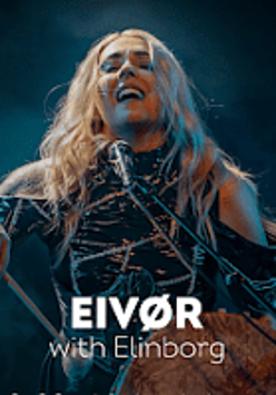 Concert poster - photo of the artist.