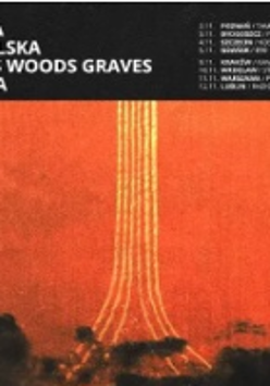 Concert poster: information about the tour and a graphic showing an orange surface with yellow lines crossing it vertically.