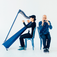 Photo in blue and white colours of two musicians - one playing the harmonica, the other playing the harp