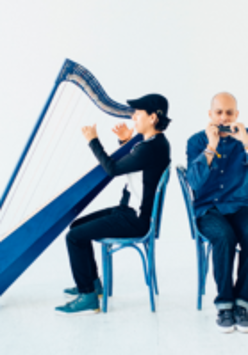 Photo in blue and white colours of two musicians - one playing the harmonica, the other playing the harp