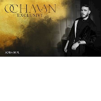 Concert poster - photo of the artist.