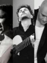 Concert: Latin Trio, The World of Bossa Nova