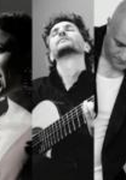 Concert: Latin Trio, The World of Bossa Nova