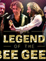 Concert poster - photo of the band.