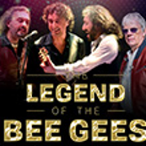 Concert poster - photo of the band.