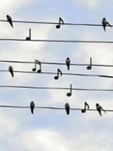 A staff against the blue sky. Birds and musical notes sit on the lines.