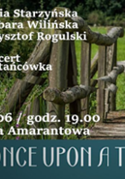 Photo of a small wooden bridge and a piece of a grass area with information about the event.