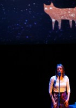 Photo from the concert: a woman performing on stage.