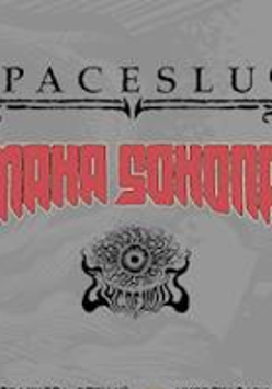 Concert poster