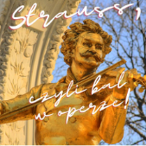 Photo of the monument of Strauss.