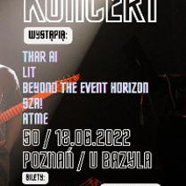 Concert poster - information about the concert