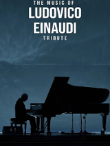 Concert poster: black picture of a man sitting at the piano, dark blue background.