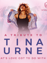 Concert poster: photo of Tina Turner and the title of the event.