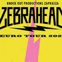 Concert poster in yellow, pink and black colours.