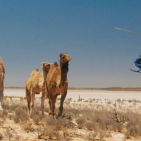 CULTURE IN SLIPPERS: Make your own omelette