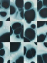 Graphics promoting the exhibition