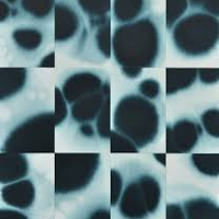 Graphics promoting the exhibition