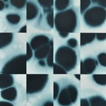 Graphics promoting the exhibition