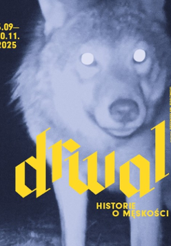 A graphic based on a blurry, overexposed photograph of a wolf. The image is in blue tones. Yellow inscriptions are superimposed over it: "6.09-30.11.2025, LUMBERJACK, STORIES OF MASCULINITY, CURATOR: PRZEMYSŁAW JĘDROWSKI."